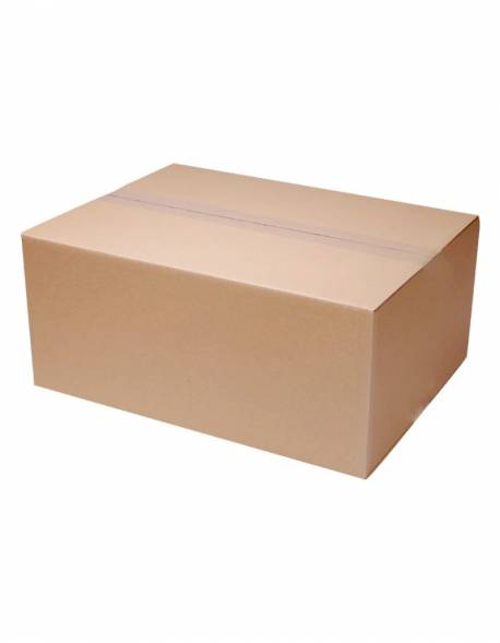 Kartoninė dėžutė 450x200x150mm, fefco 0201, B11